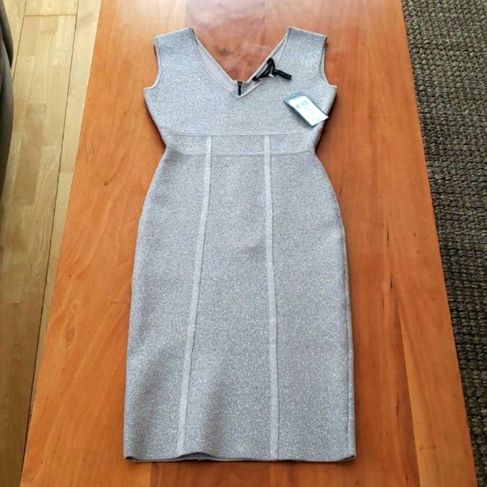 BCBG MaxAzria Ribel Bodycon Dress